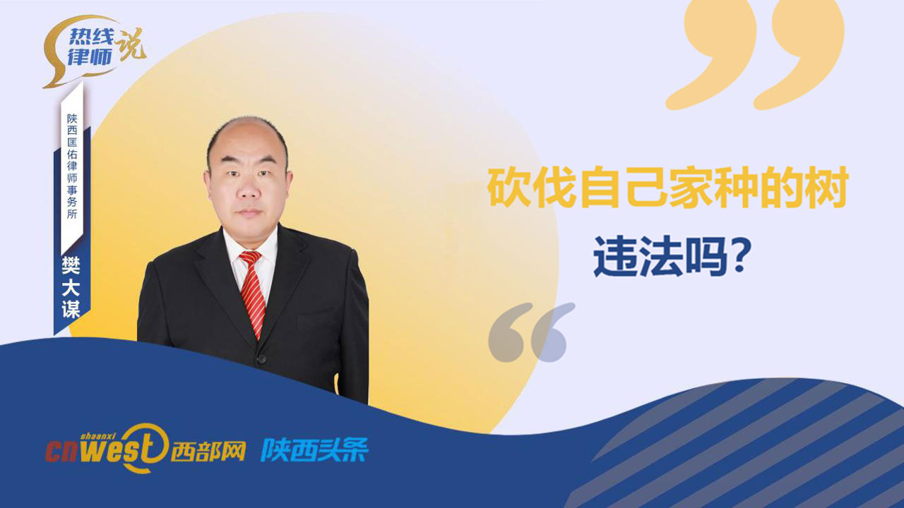 热线律师说丨砍伐自己家种的树，违法吗？